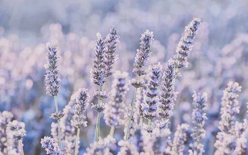 How To Sense Into Safety