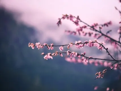 How To Separate Ego From Self? Learn A Simple Breath Meditation Technique