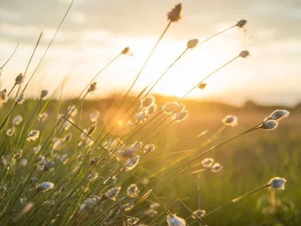 Set Healthy Boundaries And Say No