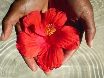 How To Set & Seal Intentions