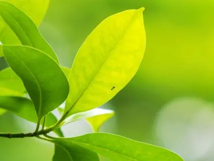 How To Shift Your Emotional State