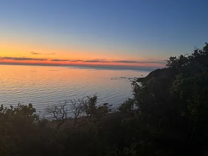 How To Silence The Mind And Connect With Presence