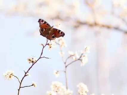 How To Stay Calm And Confident
