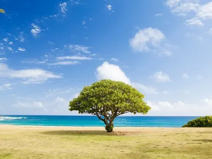 How To Stay Centered