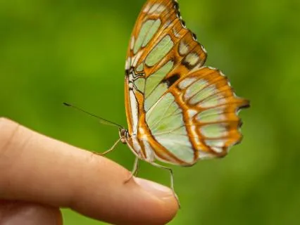 How To Stay Informed Without Losing Yourself