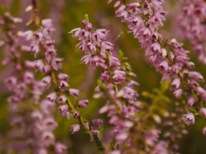 How To Stop Feeling Overwhelmed