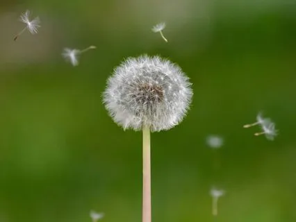 How To Stop Or Interrupt My Feelings Of Sadness?