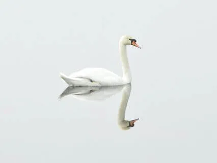 How To Stop Overthinking?