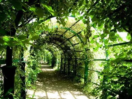 How To Stop Shaming Yourself For Mistakes With One Word