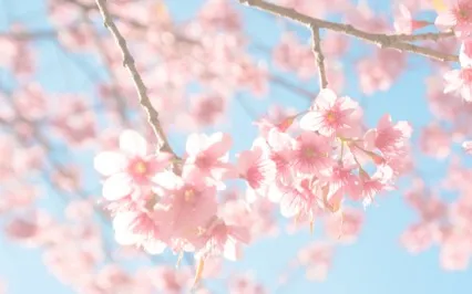 How To Stop Trying To Always Be Calm