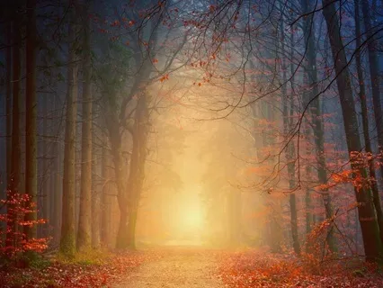 Strengthening Our Inner Feminine