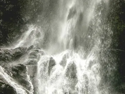 How To Transform Unsafe Relationships: Shifting Trauma Bonds