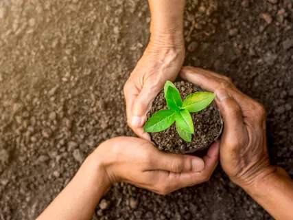 How To Treat Your Desire To Make It A Reality