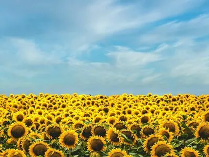 How To Turn Worry Into Wisdom