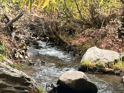 How To: Ujjayi Breath