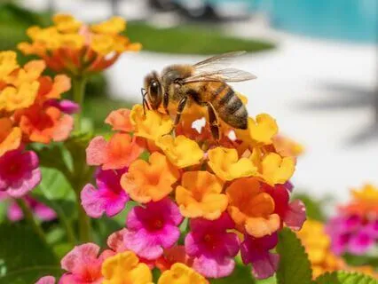 How To Undrain Yourself From Big Client Leaving