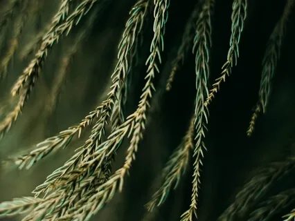 How To Unravel Pain Into Enlightenment Plus Affirmation