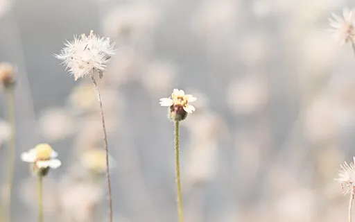 How To Use Your Mind For Meditation