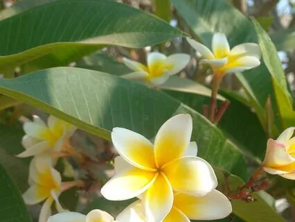 How To Wake Up Happy