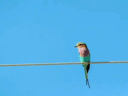 How To Win At Losing