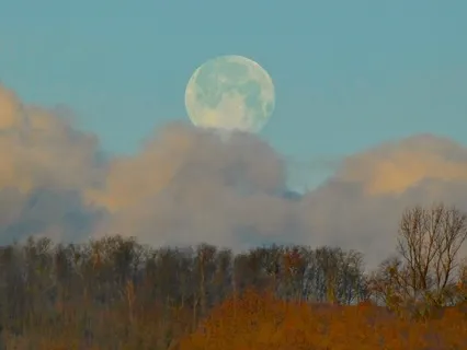 How To Work With Fear & Grief: Pause