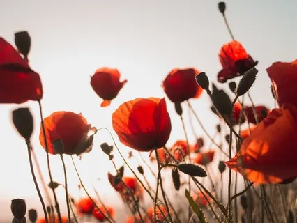 How To Work With Insecurities