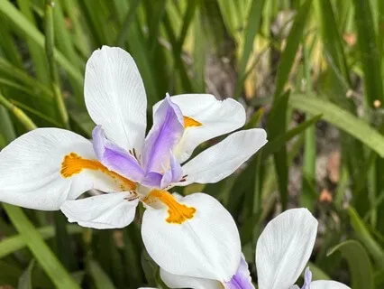 How Vulnerability Can Unlock Your Journey To Self-Love