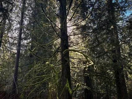 How Walking Can Become Your Spiritual Practice