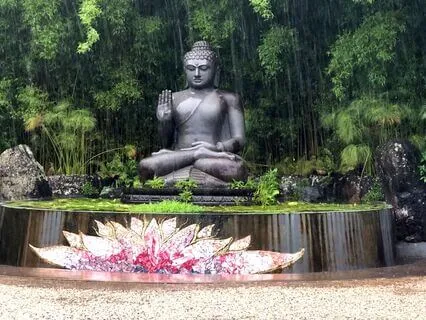 How We Can Transform And Ease Our Own And Others' Suffering