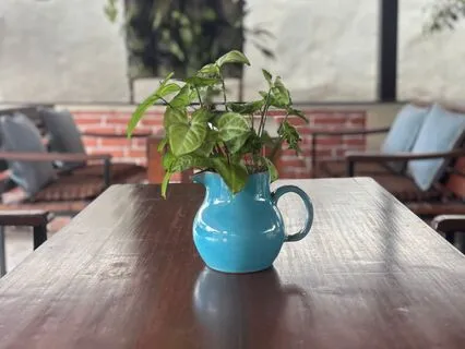 How We Gaslight Ourselves