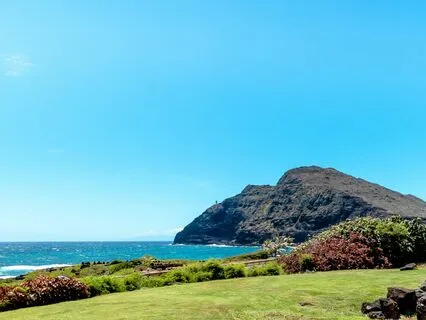 How We Know Our Real Nature By A Metaphor 1