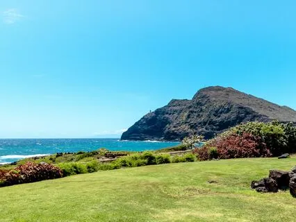 How We Know Our Real Nature By A Metaphor 2