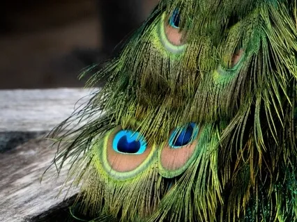 How You Are Meant To Be