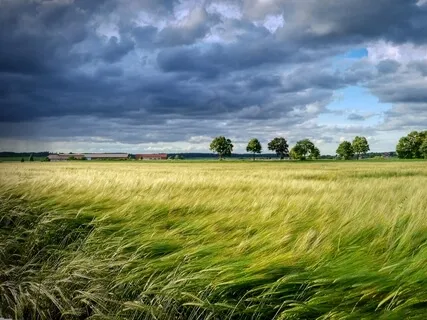Howling Wind | Natural White Noise