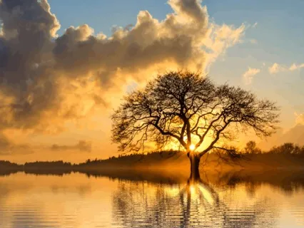 התמקדות עם הטבע