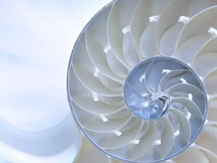 欢迎来到自爱的冥想:重新连接最纯粹的自我。