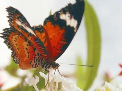 Hug The Earth | Daily Practice