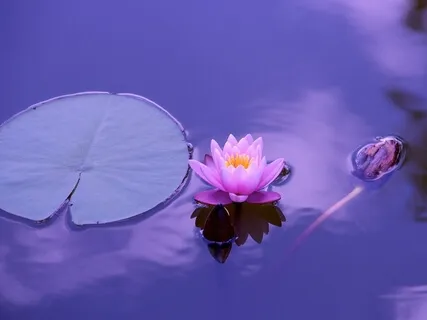 Hugleiðsla (Andadrátturinn)