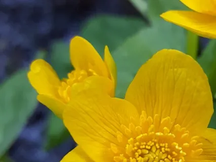 Guided Visualization For Relaxation