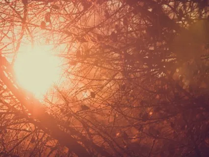 回到子宫充个电 | 修复重启