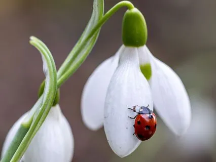 Human Design Projectors: Heal Your Dark Night Of The Soul