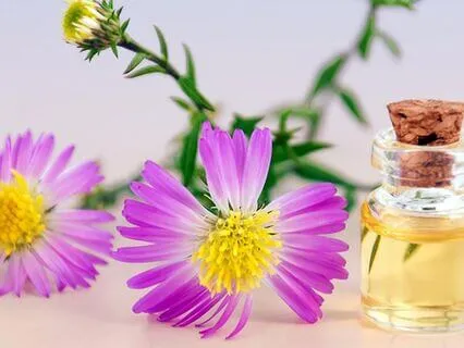 Human Design: Use Your Energy Type As Preventative Medicine