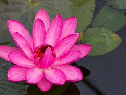 Hungry For Knowledge: Intuitive Connections