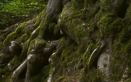 Hunter - Full Moon Series For Grounding