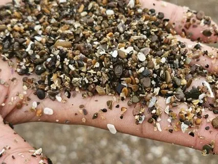 Hurricane Helene Collective Healing Meditation