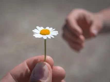 Hurt People Hurt People Hurt People - The Terrible Cycle Of Hurt