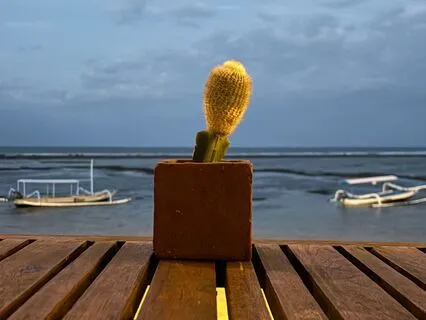 Hurt People, Hurt People