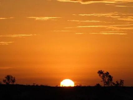 Hyena Medicine: Finding Strength In Your Voice And Spirit