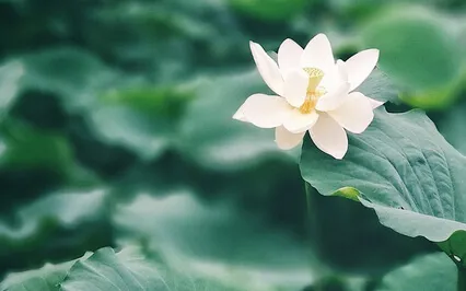 Hymymeditaatio - Sisäinen rauha