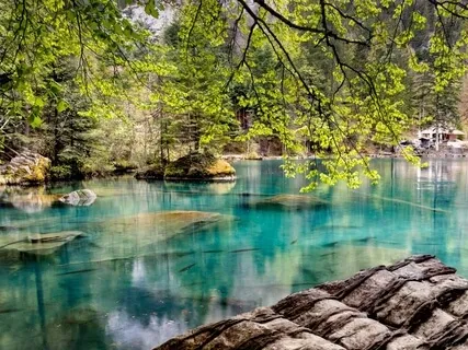 Anti-Epidemic/Stress Reduction